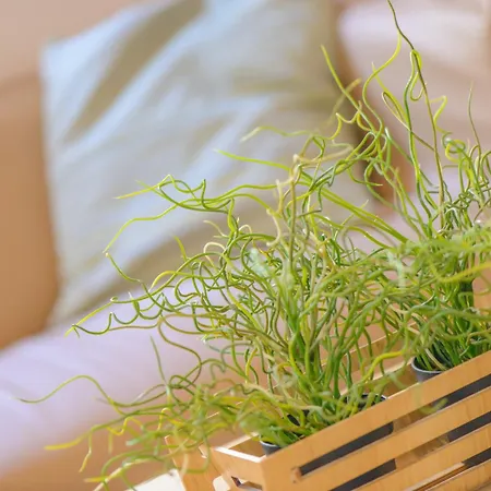 Avana Mare Hotell Rimini