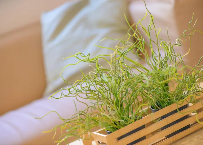 Avana Mare 호텔 리미니