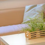 Avana Mare 3*